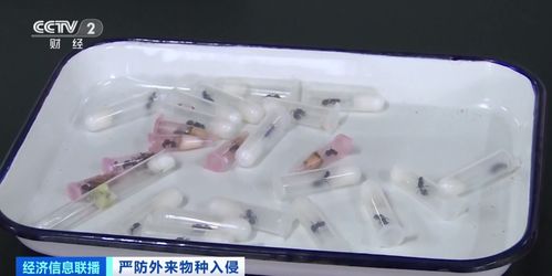 重磅！致死铁案专办 官方亮剑重点打击法医鉴定失真与谜团